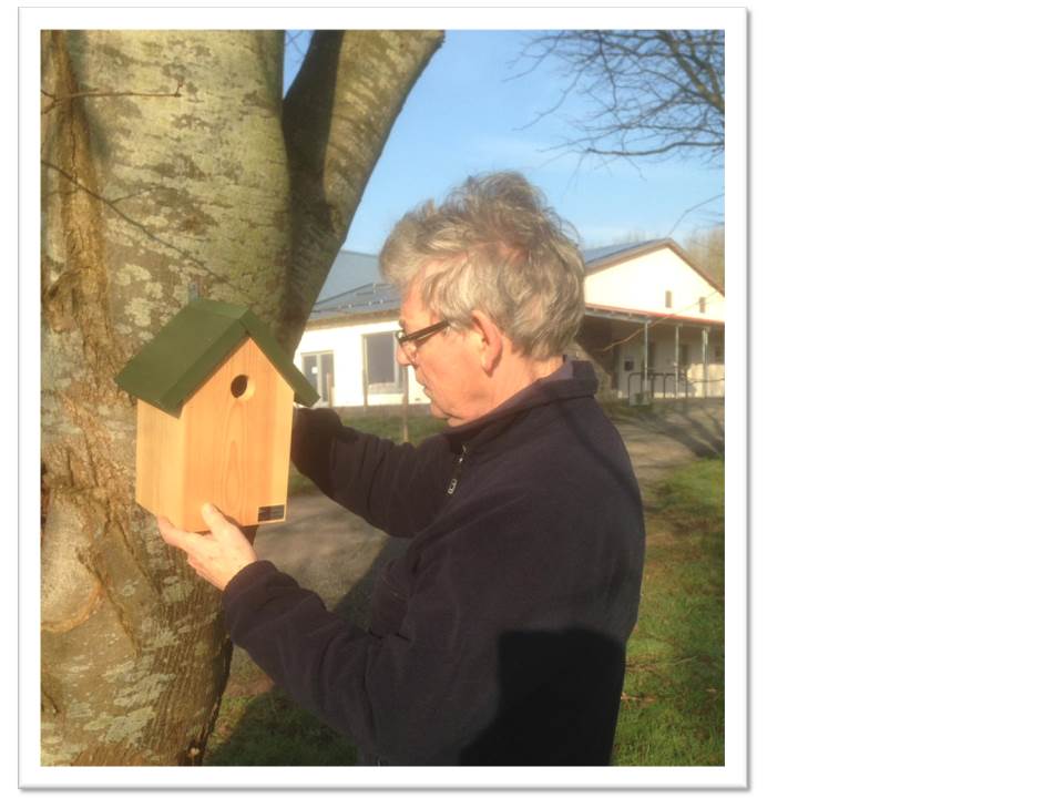 Bird Box fixed to tree at Garway Community Centre